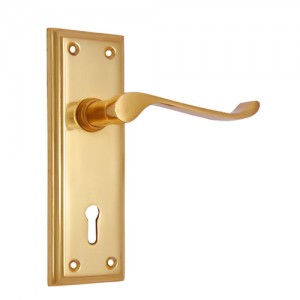 "Shem" Brass Door Handle with Plate 